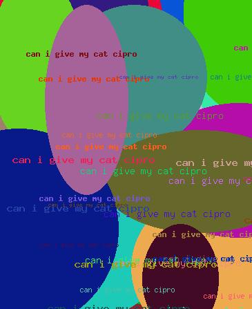 CAN I GIVE MY CAT CIPRO